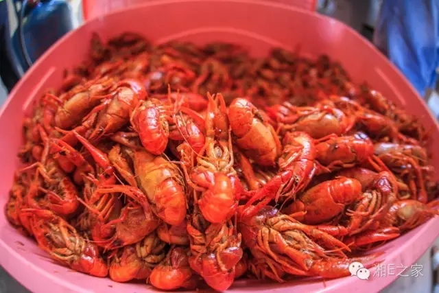 天嬌汽車文化節(jié)-一個(gè)可以吃喝玩樂(lè)的汽車節(jié)！