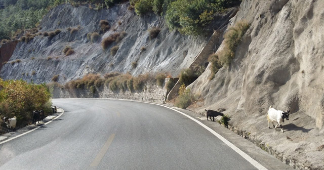講真的，我碰到了20年后的我...
