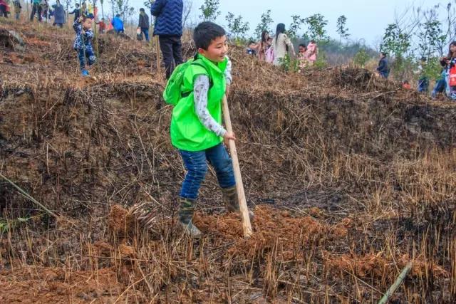 建設生態(tài)邵陽城，天嬌集團在行動
