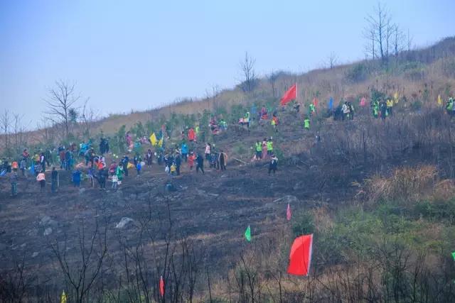 建設生態(tài)邵陽城，天嬌集團在行動