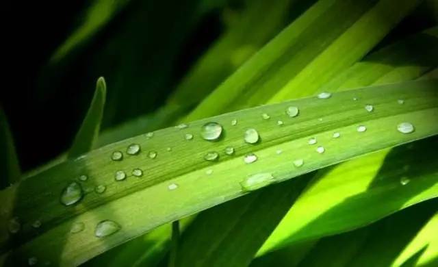 白露丨與CR-V一起，品味秋天的氣息