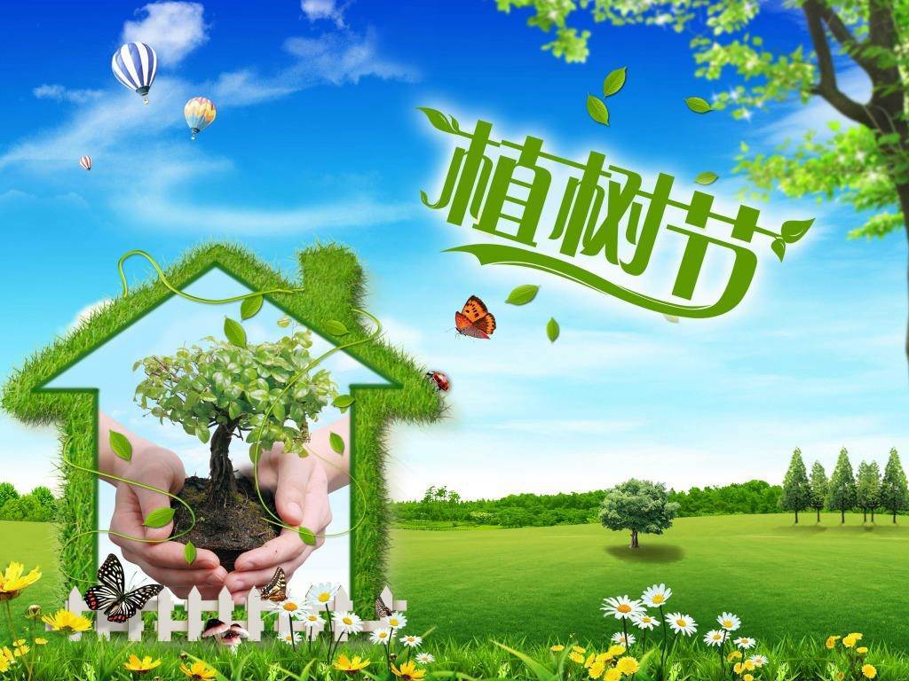 北京現(xiàn)代“智現(xiàn)代，植未來”，你我共建森林邵陽