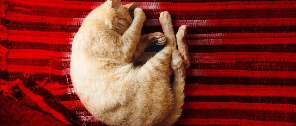 人類發(fā)展的動力，除了懶，還有對舒適的追求