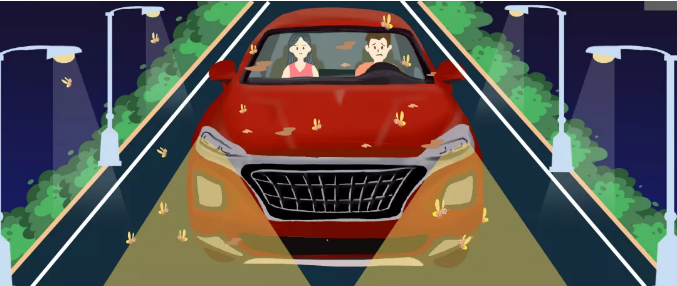 安全清除車身飛蟲，僅需十分鐘