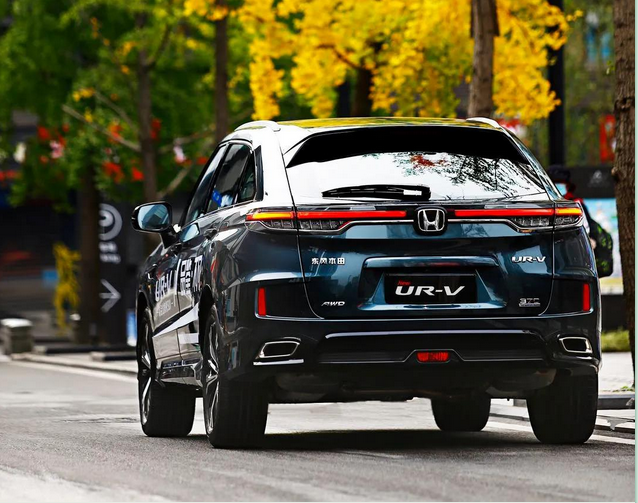 暢游樂逸蓉城，感受市井“慢生活”