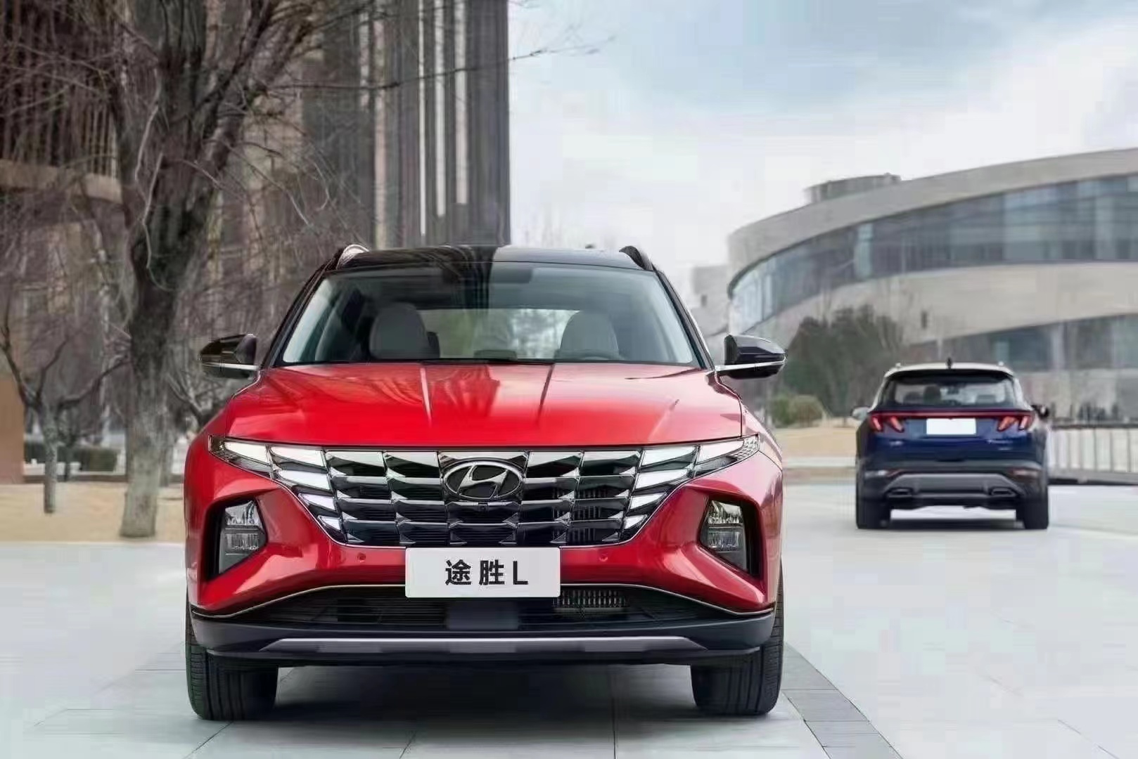 如何呵護家人，看這兒！