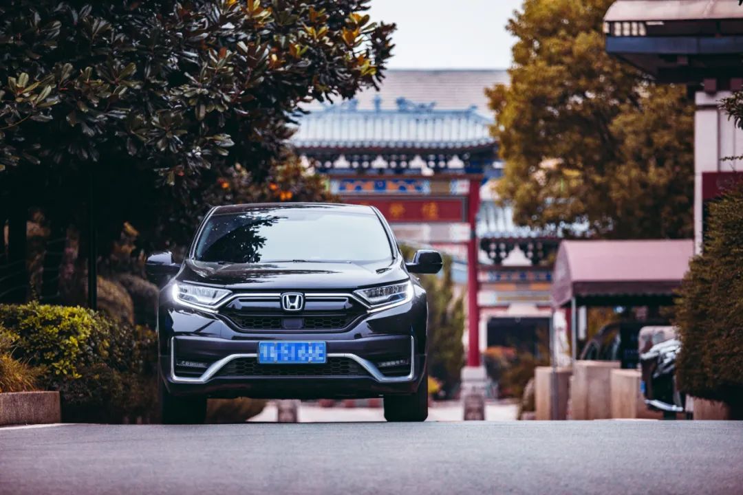 本人有料 | 愿歷經(jīng)千帆，歸來仍是少年